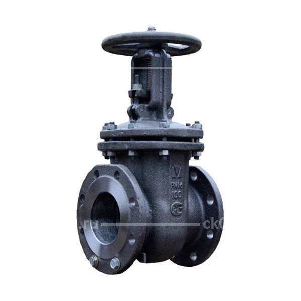 Задвижка 30лс99нж DN50 PN25