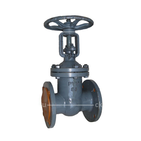 Задвижка 30с45нж DN80 PN160