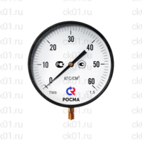 Манометры котловые типа ТМ серии 10