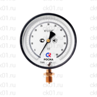 Манометры точных измерений типа ТМ — МТИ серии 10