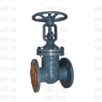 Задвижка 30с45нж