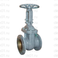 Задвижка 30с976нж